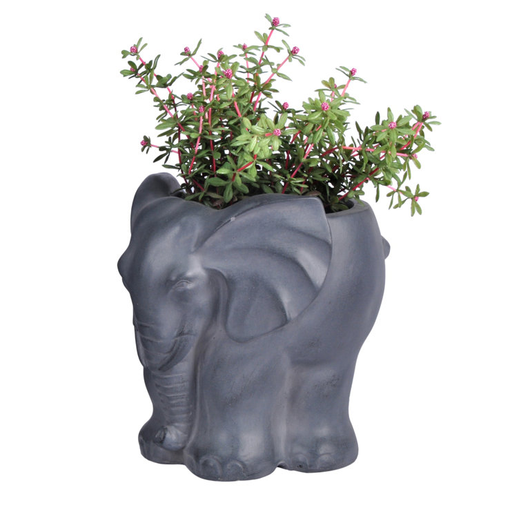 Idealist Elephant Grey Oval Plant Pot L27.5 W22 H26 Cm, 5.6 Liters